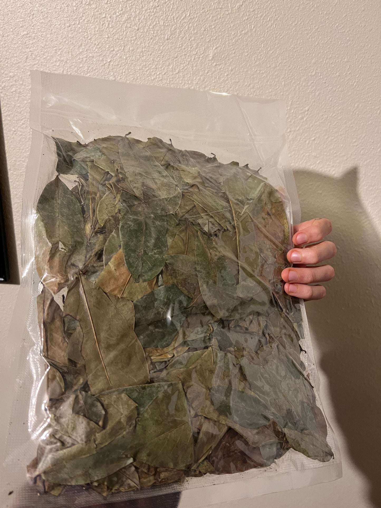 Organic Soursop Leaves (1/4 IBS)