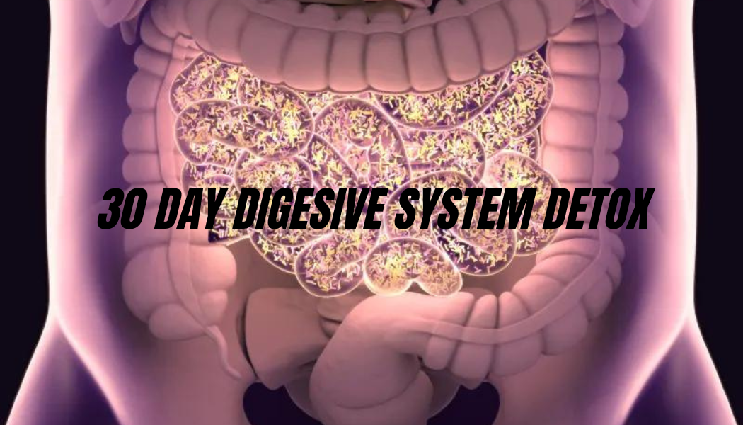 30 DAY DIGESTIVE SYSTEM DETOX