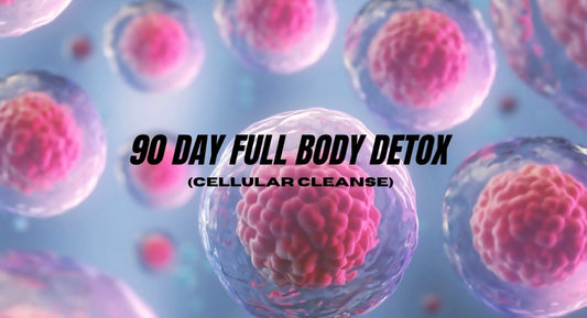 90 DAY GUIDED PERSONAL PACKAGE (Cellular Cleanse)
