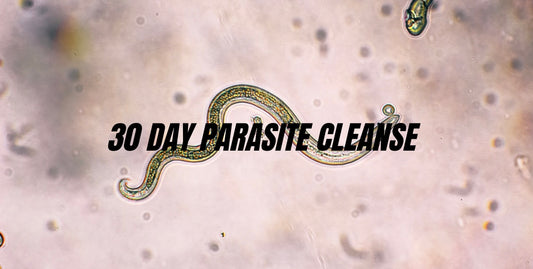 30 DAY PARASITE CLEANSE